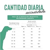 Ver la foto 7