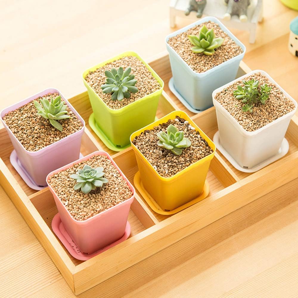 Anyumocz 24 Pack 3inch Multi Color Square Plastic Plant Pots,Seedling Nursery Transplanting Planter Container Indoor Outdoor for Your Room,Garden Office and Balcony Decor