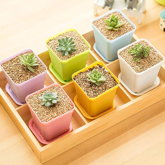 24 Pack 3inch Multi Color Square Plastic Plant Pots,Seedling Nursery Transplanting Planter Container Indoor Outdoor for Your Room,Garden Office and Balcony Decor