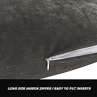 Vista 2 de Fundas de almohada GIGIZAZA decorativas de 18 x 18 pulgadas, fundas de almohada color grafito para sofá, fundas de almohada de terciopelo cuadradas