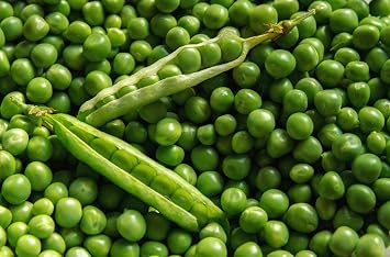 Lincoln Pea Seeds 50 Count, COOL BEANS N SPROUTS" Brand. Home Gardening.