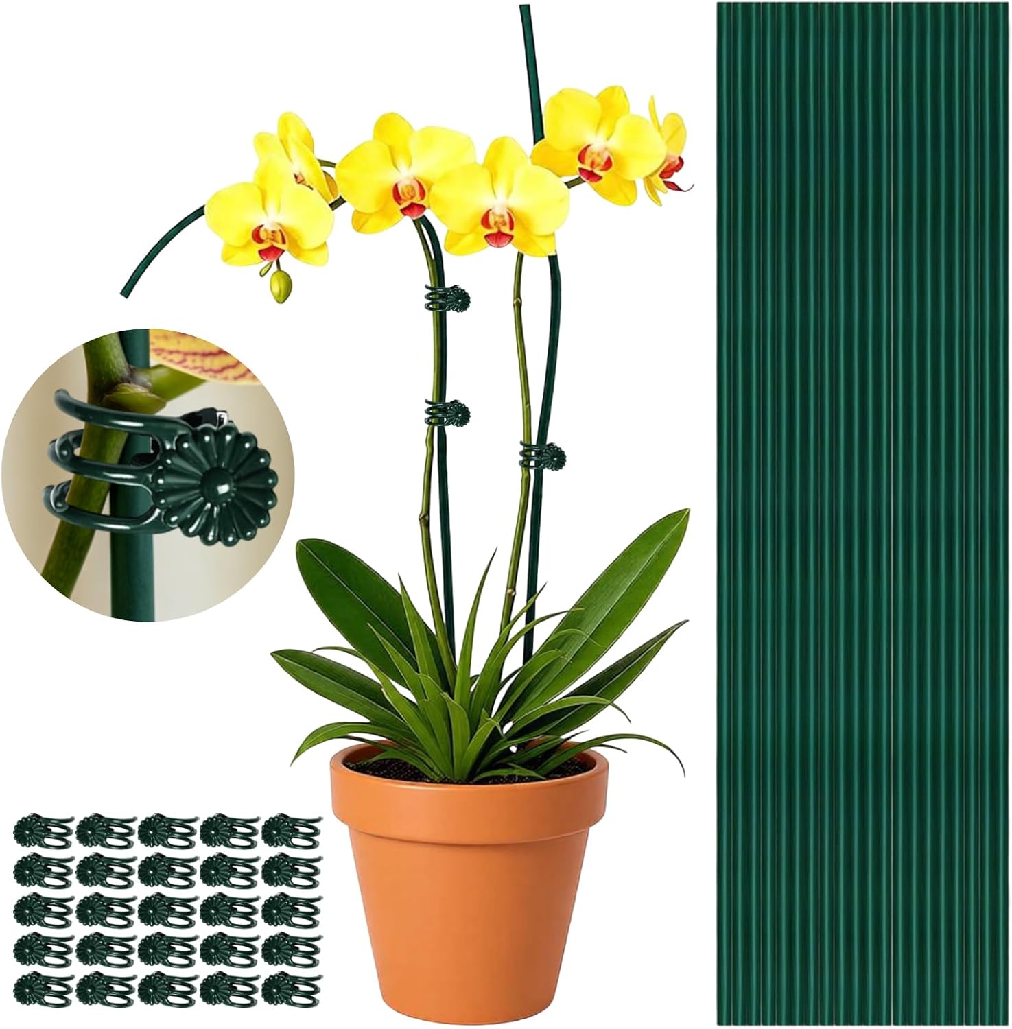20Pcs 16" Green Plant Stakes with 20 Adjustable Reusable Clips, Bendable Tall Sticks, Support Heavy Orchid Rose Peony Single Stem Flowers for Indoor Outdoor Potted Plants