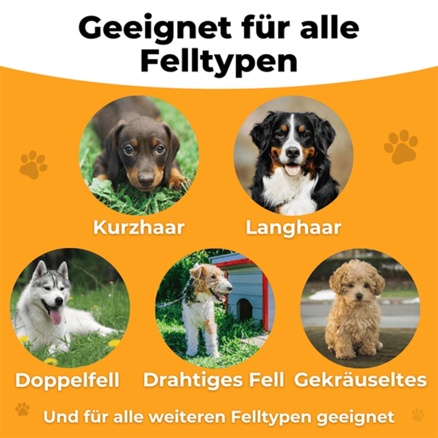 2025 Fellwunder Bürste Hund, Fellwunder Bürste, Deshedding-Bürste Mit Komfortgriff, Pfotenstern Bürste Für Hunde & Katzen (3)