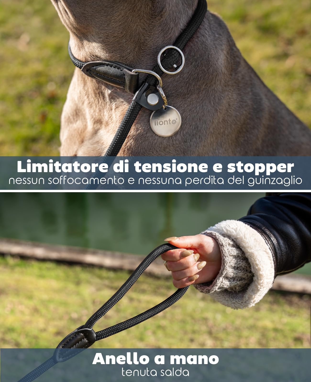Guinzaglio Retriever Per Cani - Lunghezza 120 Cm Con Collare Integrato E Materiale Riflettente - Foto 4
