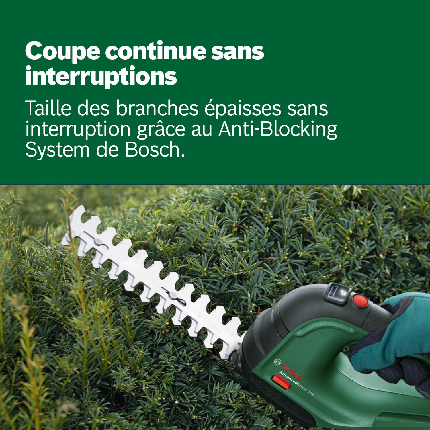 Bosch Cisaille à Gazon sans Fil - AdvancedShear 18V-10 (1 Batterie 2.0 Ah, 18 Volt System, Coupe Jusqu’à 85 m² par Charge, avec Lame de Taille-Herbes et Lame de sculpte-Haies)