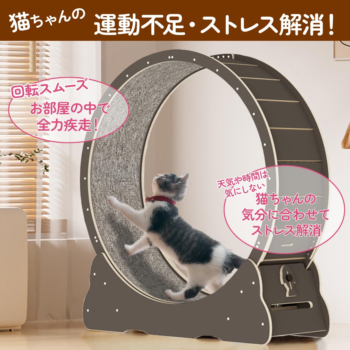 Amazon | Ciaobot キャットホイール 猫用 組み立て式 直径 90cm～130cm 