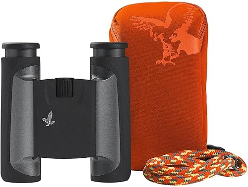 SWAROVSKI Binoculares de bolsillo 8x25 CL (antracita, bolsa de campo de montaña)