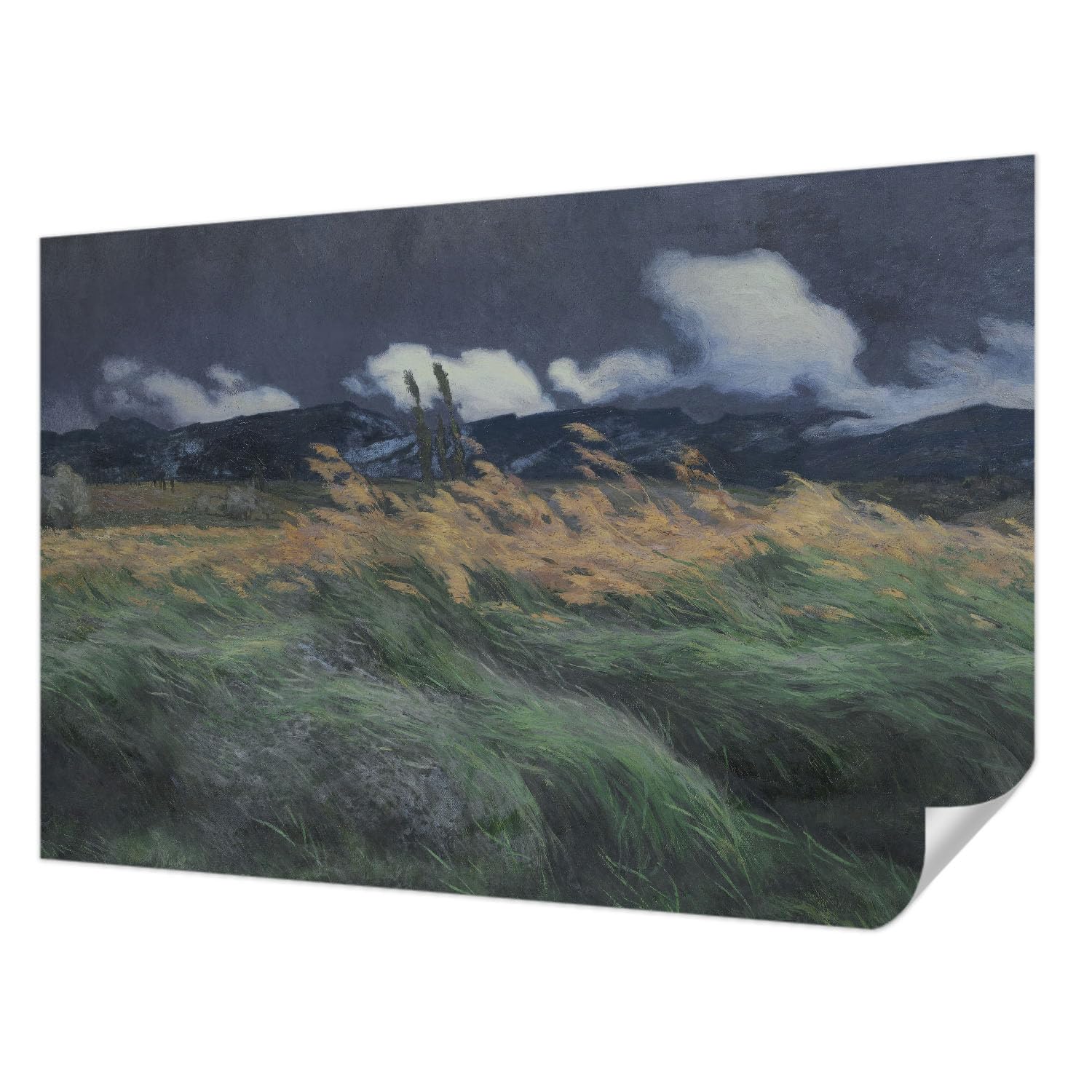 Papier peint haute qualité résistante aux taches Tulup herbes soufflées auto-adhésif 104x70