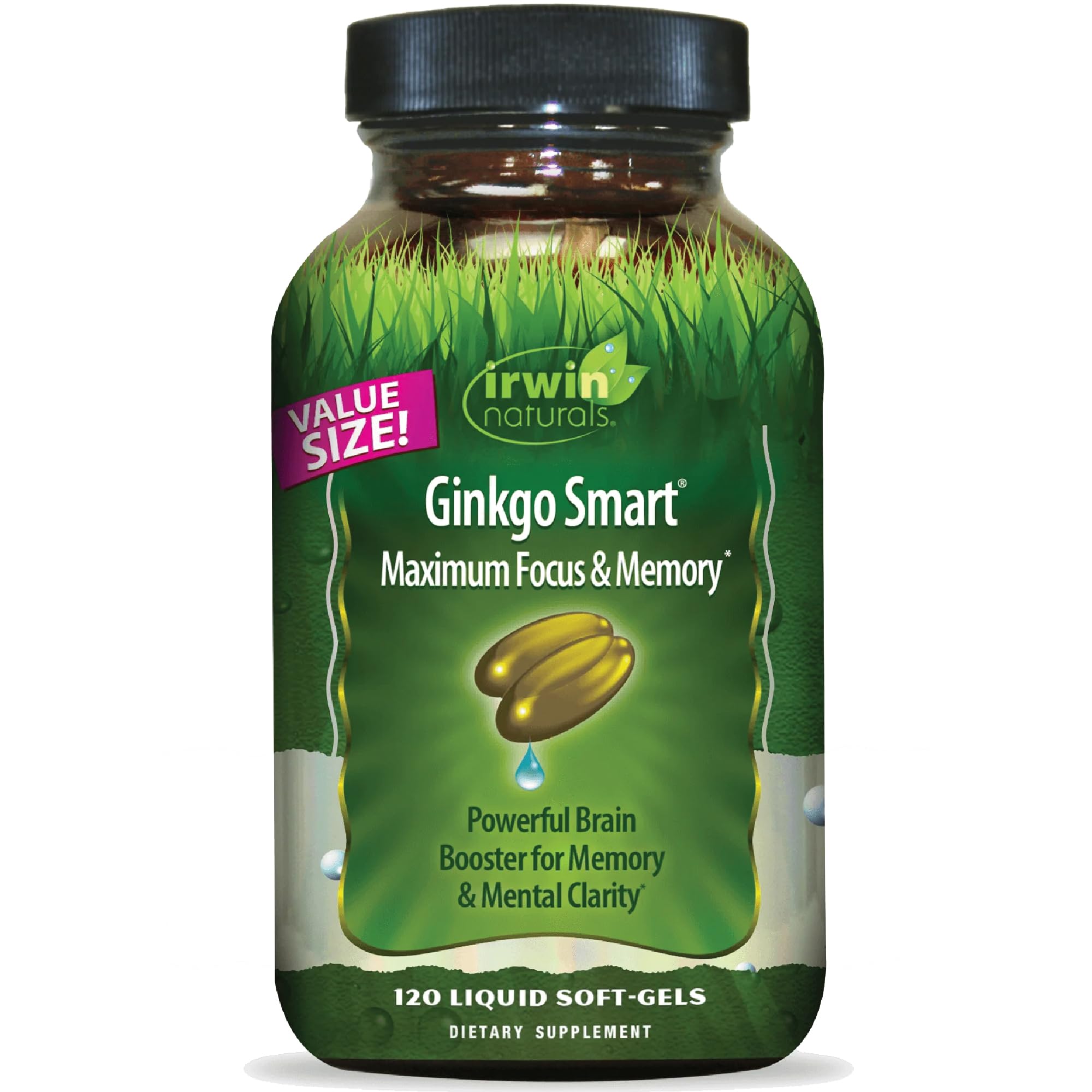 Irwin Naturals Ginkgo Smart Maximum Focus & Memory – Brain Supplement with Ginkgo Biloba, Acetyl-L-Carnitine, DMAE – Liquid Soft-Gels with BioPerine® for Superior Absorption – 120 Count
