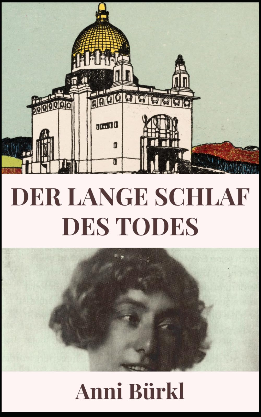 Der lange Schlaf des Todes: Die Narrenärztin - ein psychologischer Roman aus dem Roten Wien der Zwanzigerjahre. Von Bestsellerautorin Anni Bürkl. (Geschichte des 20. Jahrhunderts)