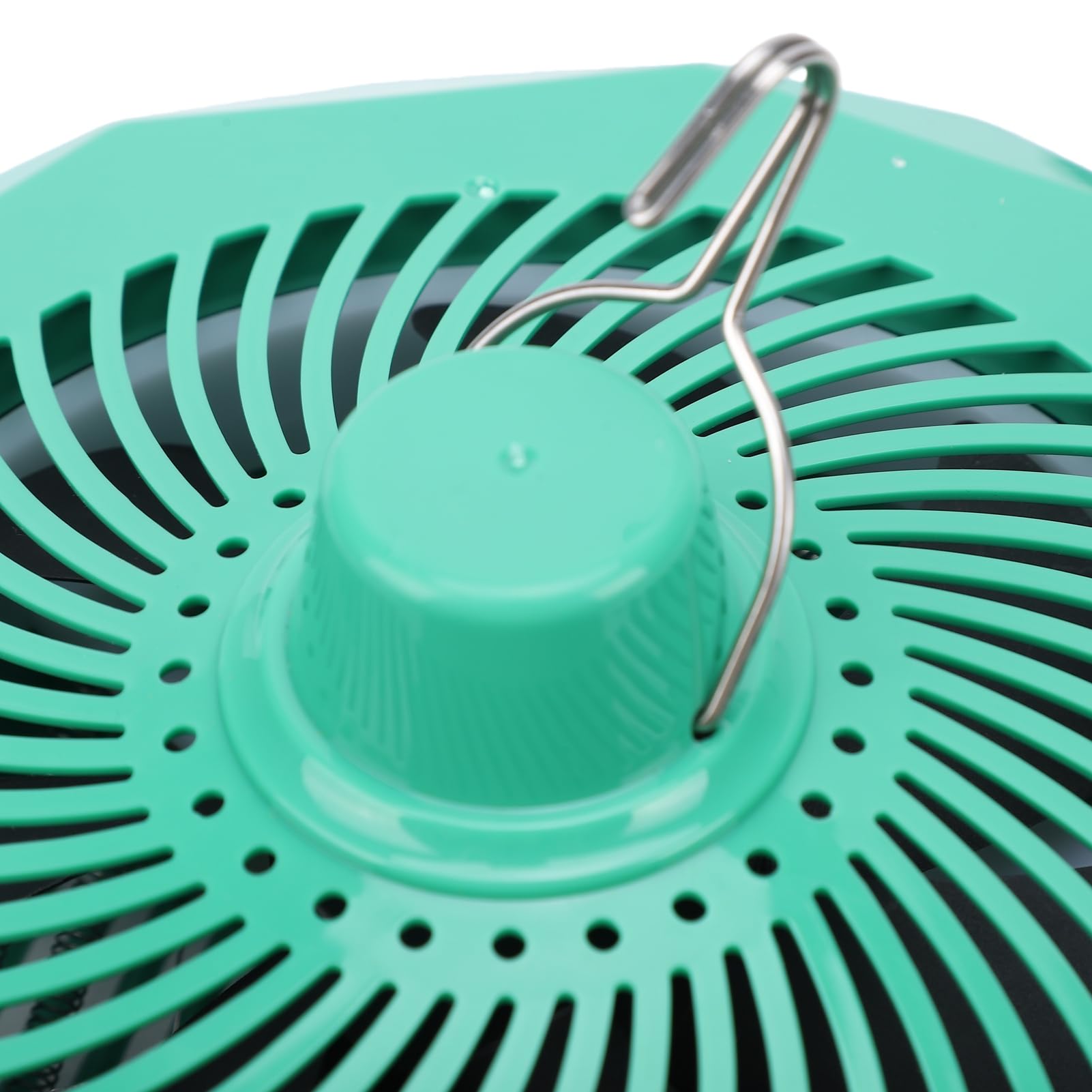 Dpofirs Lampada Riscaldante per Polli, Lampada Riscaldante per Bestiame con Temperatura Regolabile e Telecomando per Pollame per Rettili Domestici, Spina Europea 220V (Spina europea 220V)