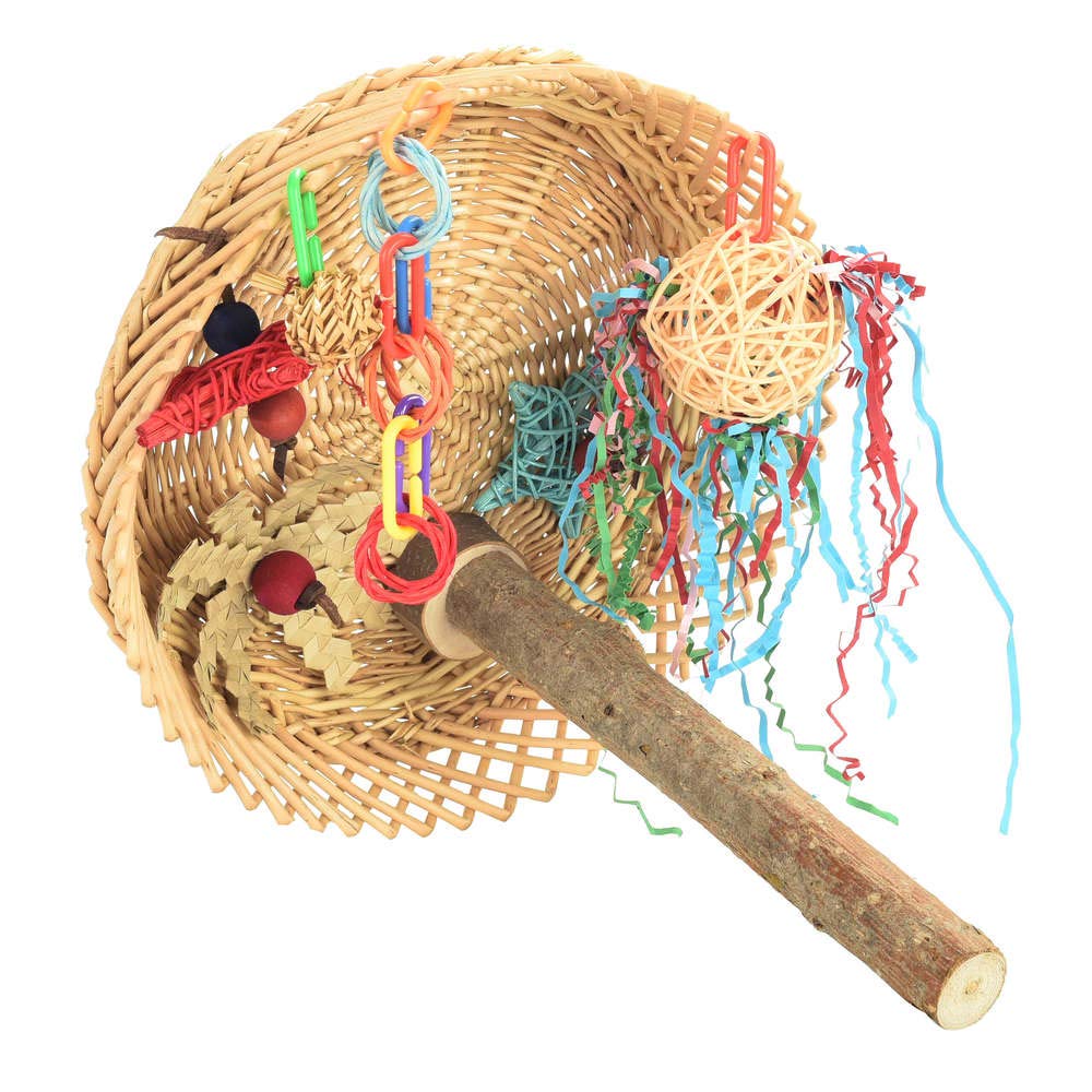 Busy Birdie Play Perch for Parrots and Parakeets