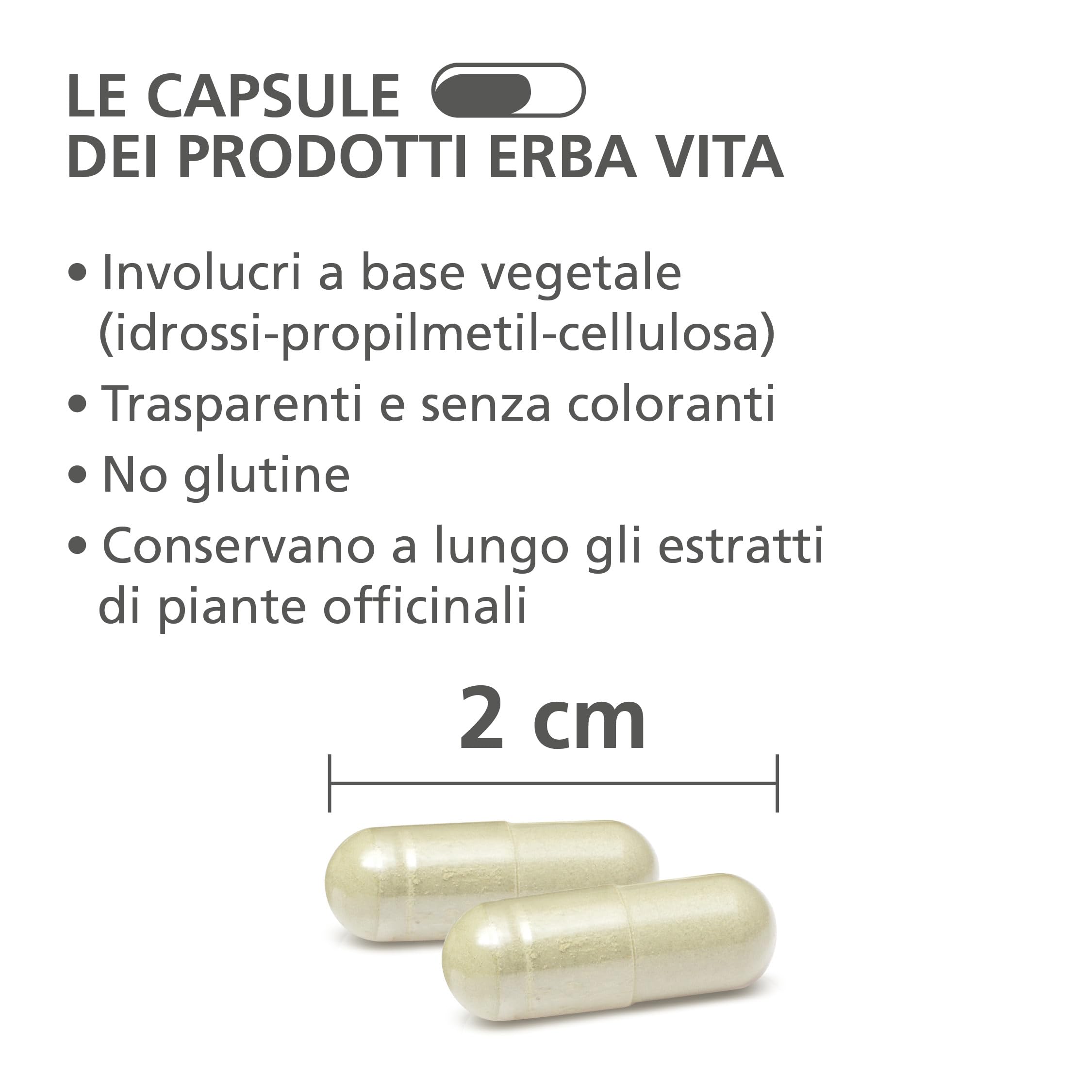 ERBA VITA Integratore Alimentare di Curcuma - 60 Capsule - Utile alla funzionalità articolare