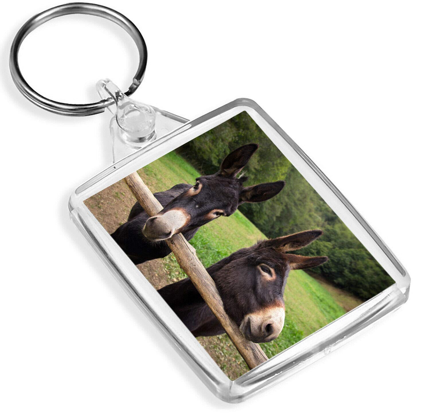 Destination Vinyl Keyrings Unisex Kids Multi Cute Donkeys Keyring - Ip02 - Donkey Horse Pony Animal Kids Funny #16451
