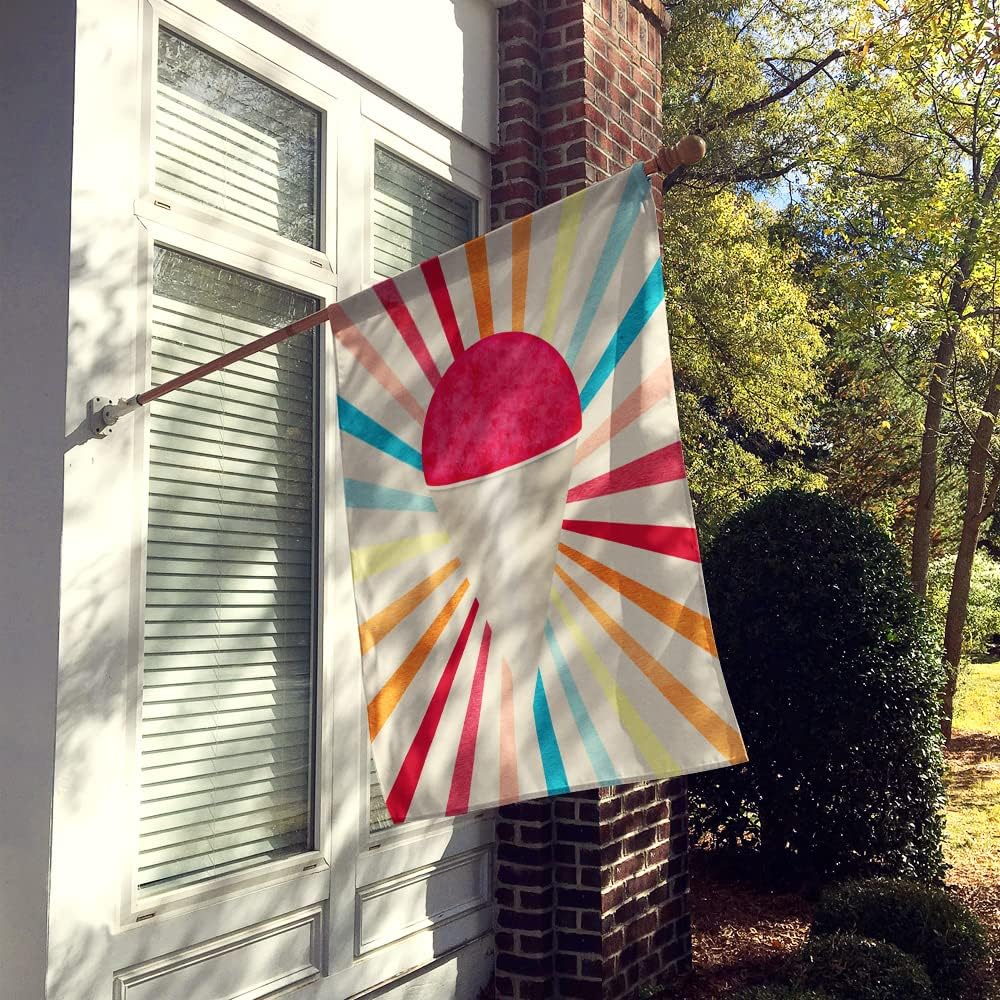 Caroline's Treasures SB3103CHF Cherry Snowball Snow Cone House Flag Large Porch Sleeve Pole Decorative Outside Yard Banner Artwork Wall Hanging, Polyester, House Size, Multicolor