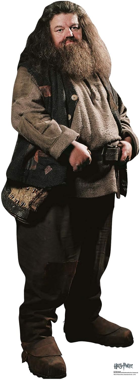STAR CUTOUTS from The Official Harry Potter Books Mini Cardboard Cutout of Hagrid Cut Out 91 cm