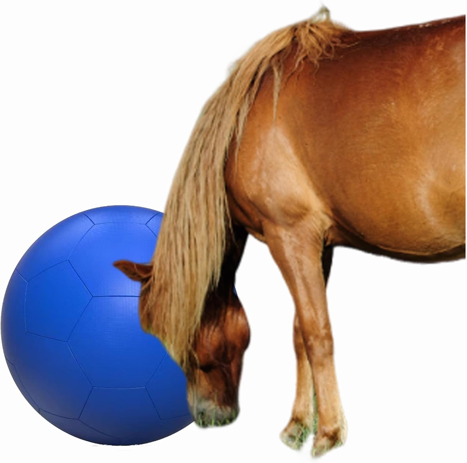mwater Herding Ball Toys for Horses25 in,If Pierced