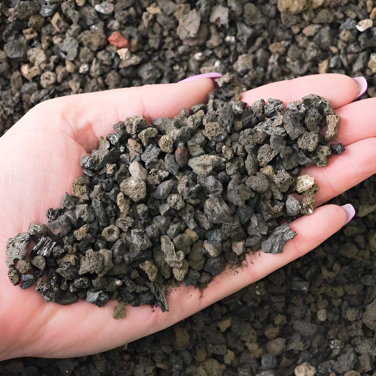 VAYINATO® 5-8 Mm (1 Kg) Natural Volcanic Black Lava Chips, Versatile Pebbles for Fish Tank Landscaping, Succulent Planters, Vase Filler & Garden Accents, Indoor Outdoor Gas Fyre Pits Fyreplaces-image-21