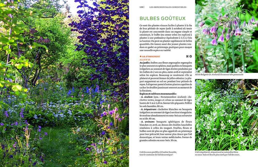 Toutes les plantes belles et comestibles