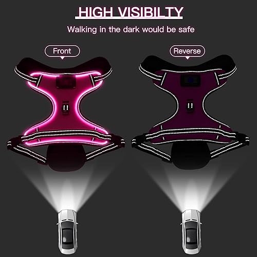 Miniatura 3 de Arnés LED para perro, arnés duradero con luz, luz reflectante para perro, abrigo LED ajustable para perros pequeños, medianos y grandes (pequeño,
