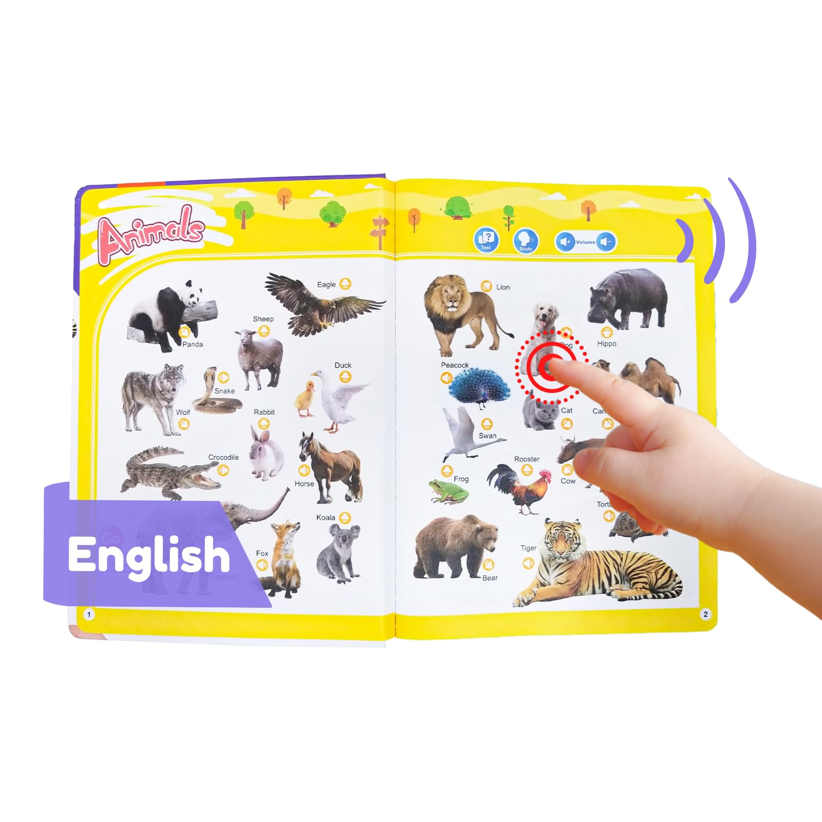 Amazon.com: ZeenKind English Words Sound Book for Kids Toddlers 3