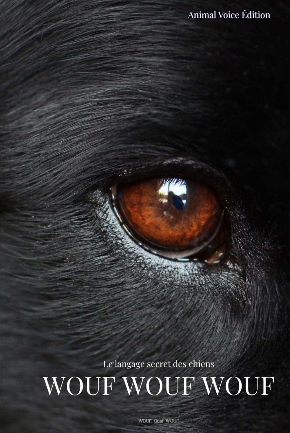 WOUF WOUF WOUF: Le langage secret des chiens