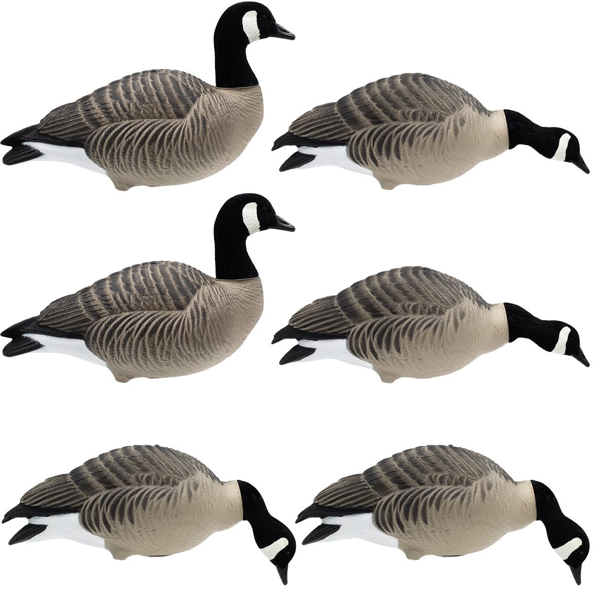 Final Approach HD Full Body Lesser Canada Geese, Decoy 6 Pack