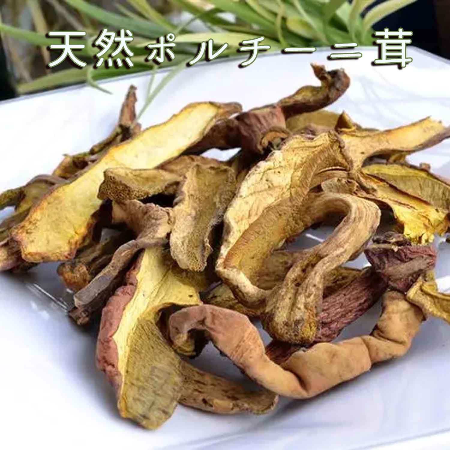 Amazon.co.jp: ポルチーニ茸 乾燥 森の恵みをたっぷり詰め込んだ芳醇な