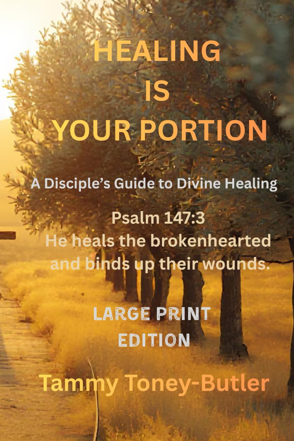 Healing Is Your Portion: A Disciple's Guide to Divine Healing: 1 (Healing Is Your Portion Series on Divine Healing)