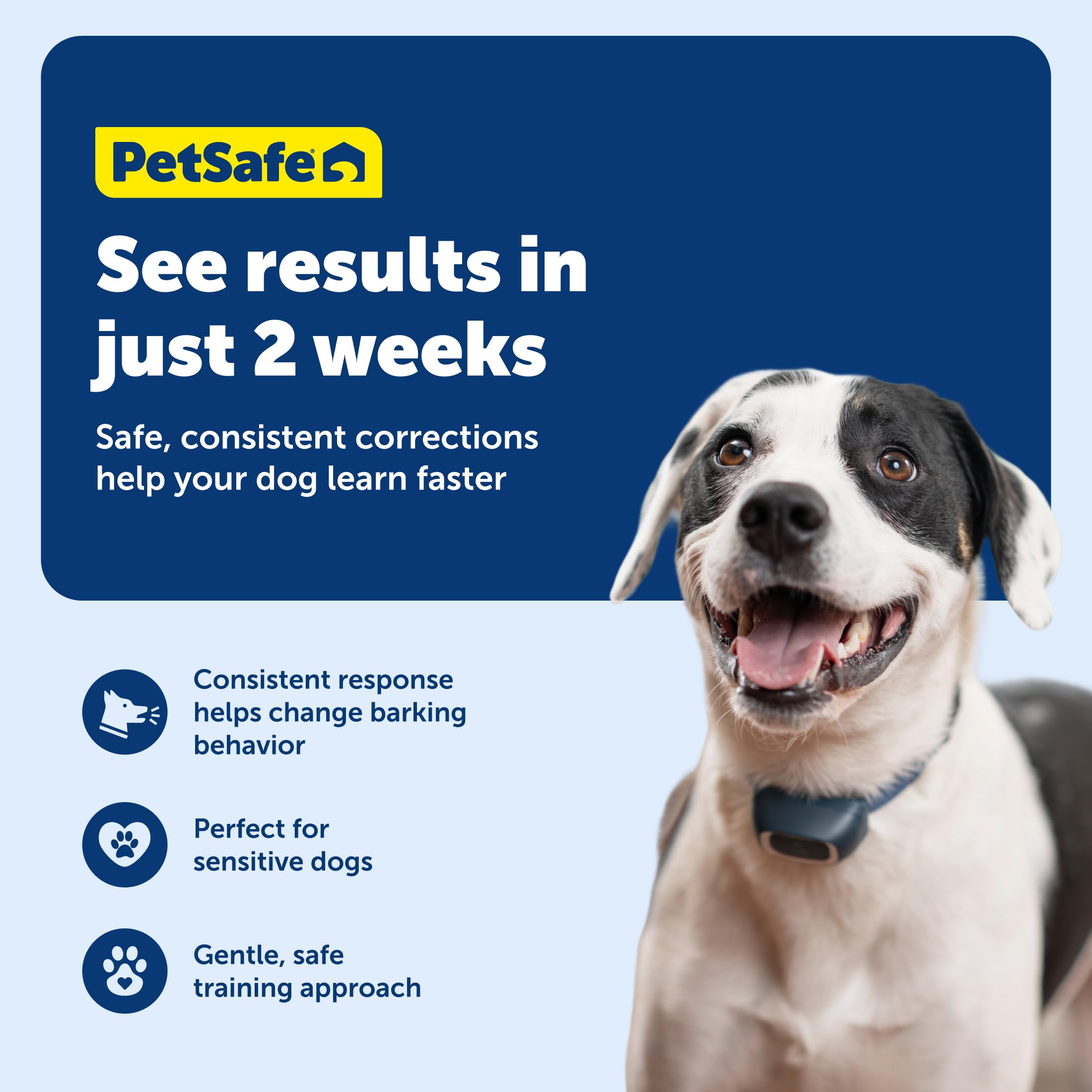 Amazon | PetSafe（ペットセーフ）無駄吠えしつけ首輪 小型犬用バーク