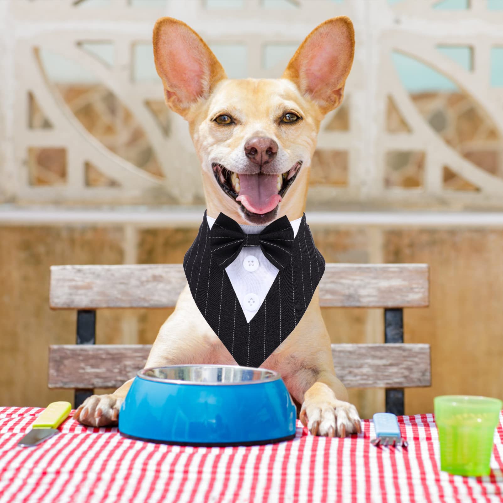 POPETPOP 3pièces Collier Bandana pour Chien Écharpe Décorative Rayé Accessoire Pratique pour Mariages Et Événements Confort Et Style pour Animaux De Compagnie