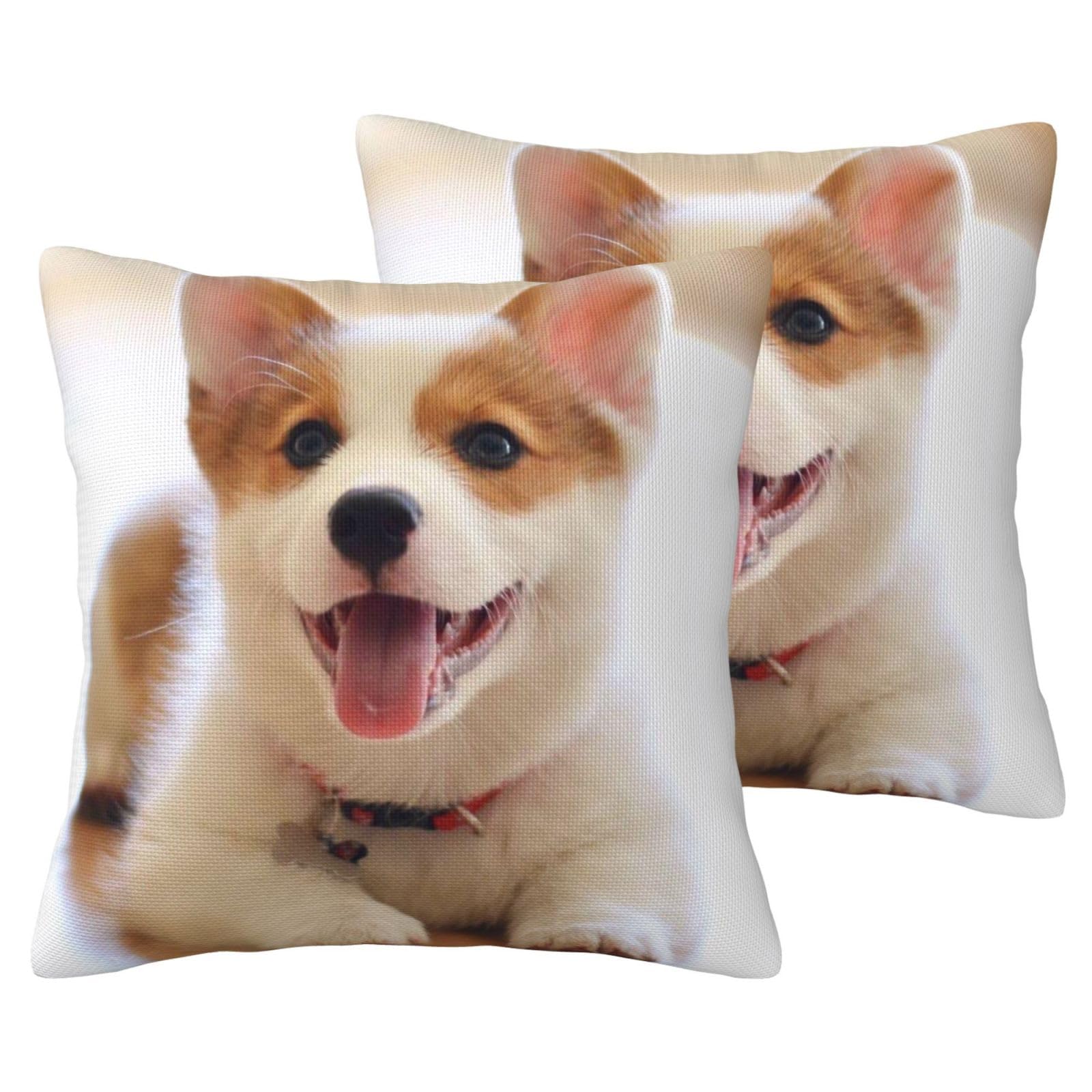 Taies d'oreiller Corgi anti-plis en imitation lin pour rénover vos vieux coussins