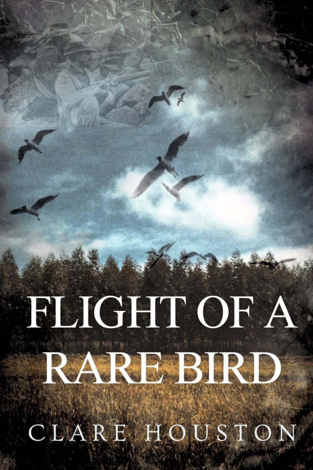 Flight of a Rare Bird