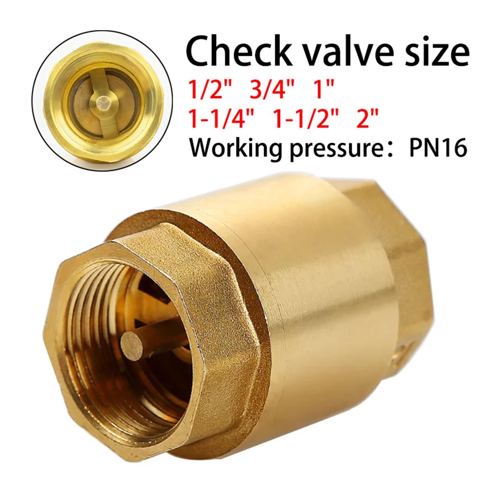 Valvola di ritegno dell'Acqua Anti-inversione in Ottone Ispessito con Filettatura Interna Liscia, valvola Verticale a Molla oscillante per Tubature dell'Acqua(1-1/4")