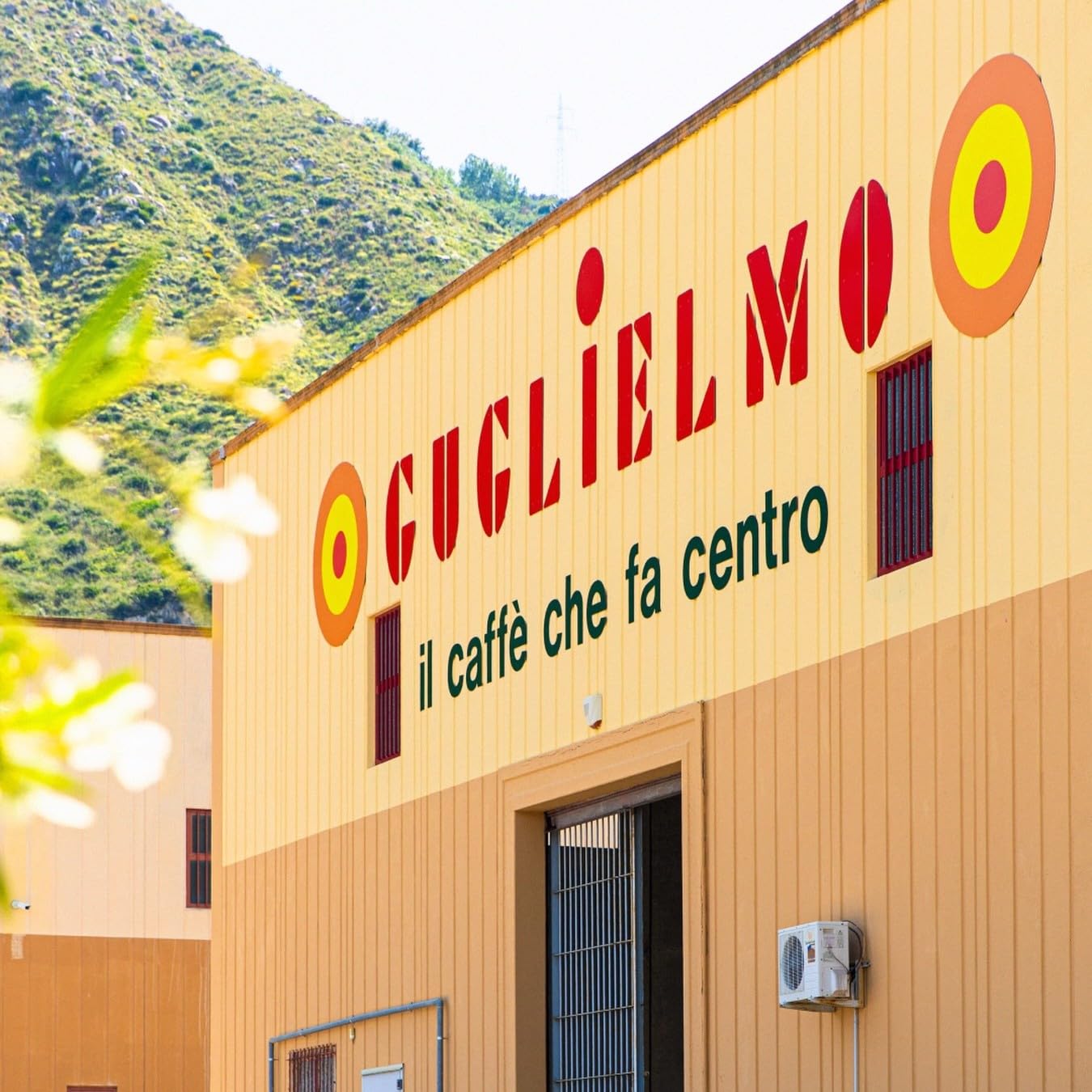 Caffè Guglielmo Espresso Oro Macinato – Box Giù in Calabria – Miscela con Maggiore Percentuale di Arabica, Gusto Delicato e Leggero, Caffè per Moka Torrefatto in Italia (6 PEZZI)