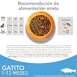 Ver la foto 6