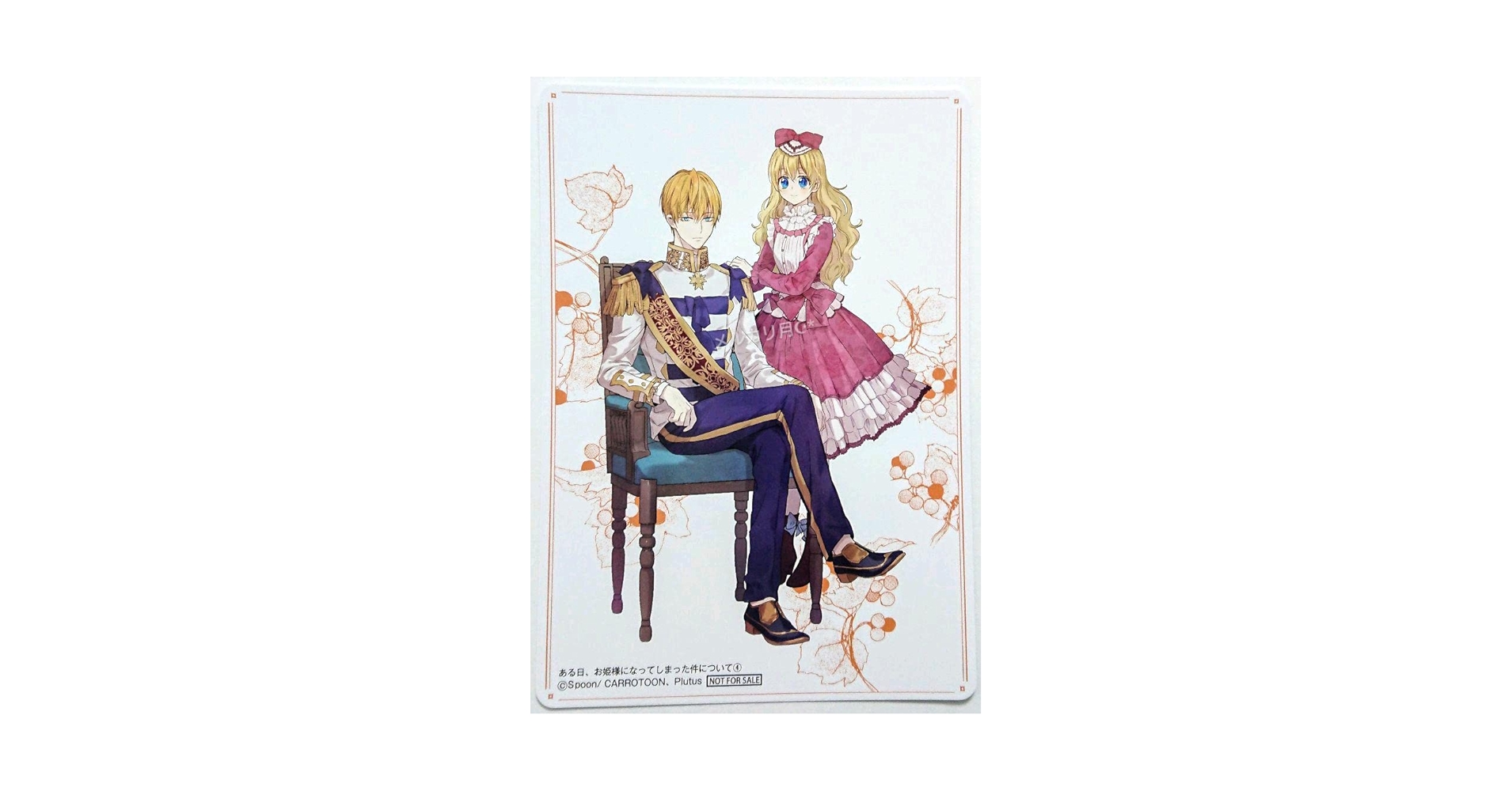 Amazon.co.jp: ある日お姫様になってしまった件について アニメイト