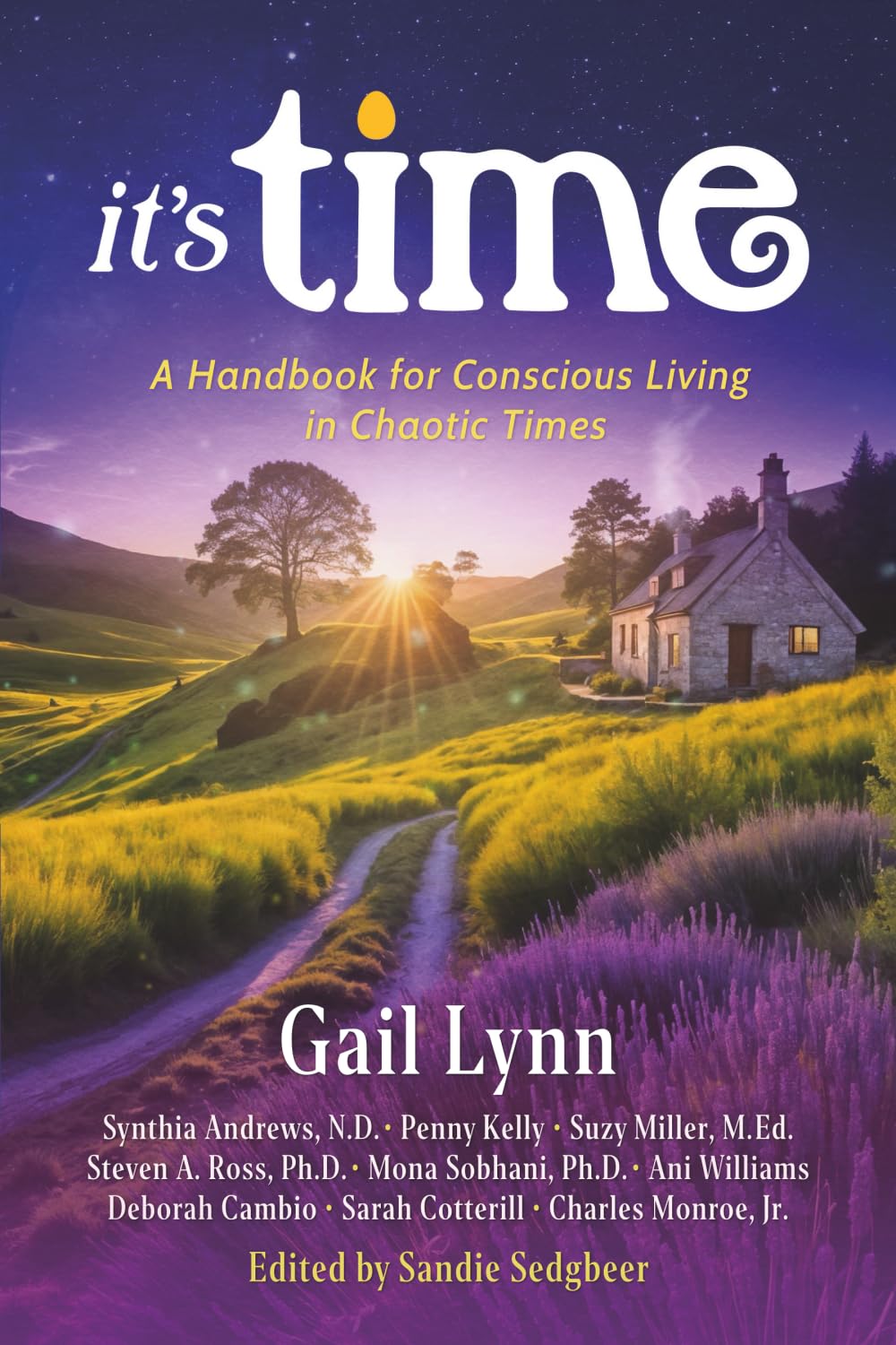 It's Time: A Handbook for Conscious Living in Chaotic Times