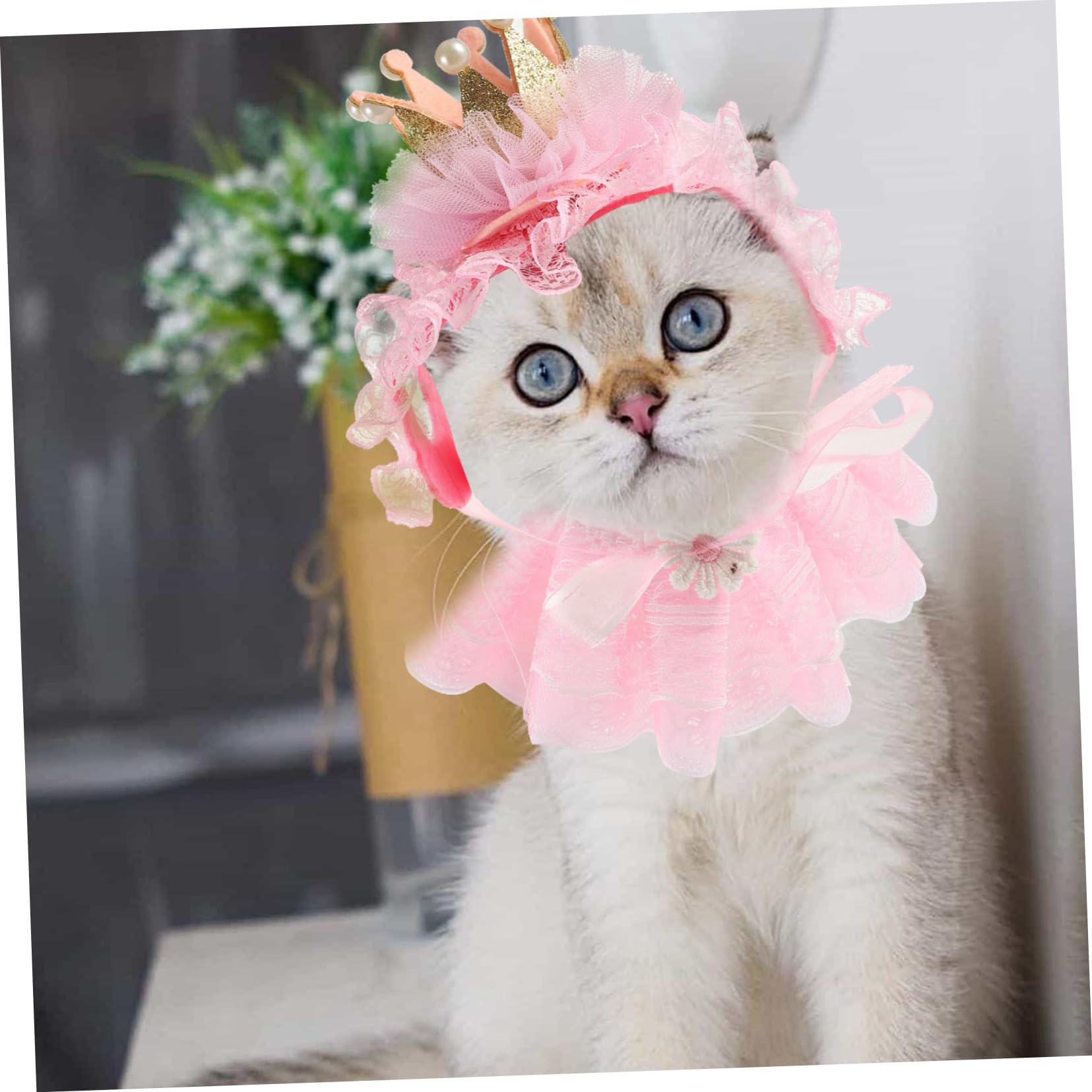 INOOMP 4sets Collari Per Gatti e Cani Con Accessori Cosplay Per Compleanni e Feste Decorazione Elegante e Confortevole Per Animali Domestici