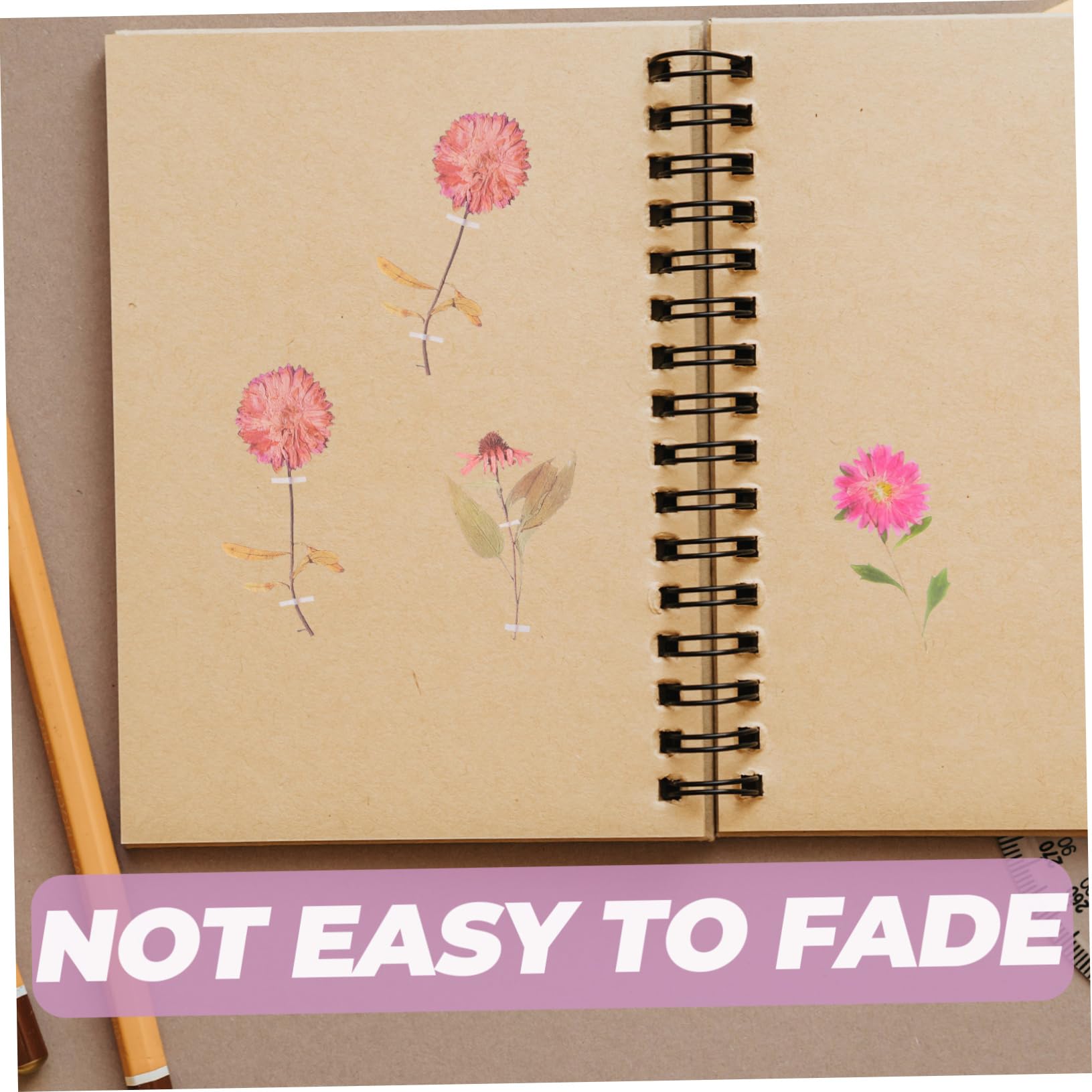DOITOOL Pegatinas Decorativas De Flores Secas Pack De Estilo Para Scrapbooking Y Manualidades Adornos Estéticos Para Álbumes Y Proyectos 6 Paquetes*4