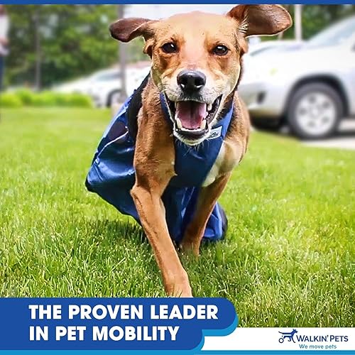 Miniatura 6 de Walkin' Bolsa de arrastre - Cómoda bolsa de arrastre para perros y gatos discapacitados, protege el pecho y las extremidades, fabricada con nailon