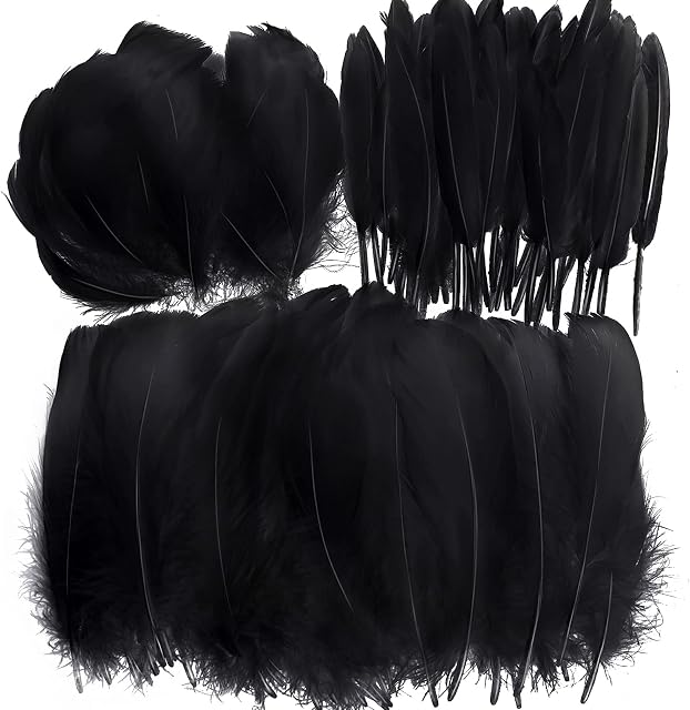 VEGCOO White Feathers, 360 Pcs Natural Craft Feathers Black Goose Feathers for DIY Dream Catcher Crafts/Art Hats/Handicrafts/Home Decoration (Black)