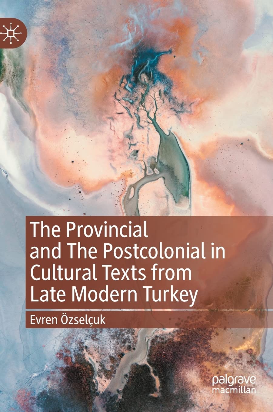 Livre The Provincial and the Postcolonial analyses culturelles Turquie