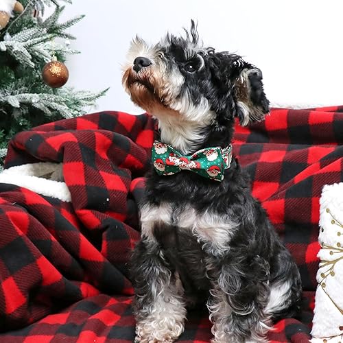 Miniatura 3 de ARING PET Collar de Navidad para perro, collar de perro de Papá Noel verde con lazo, collar ajustable de algodón para mascotas, collares para