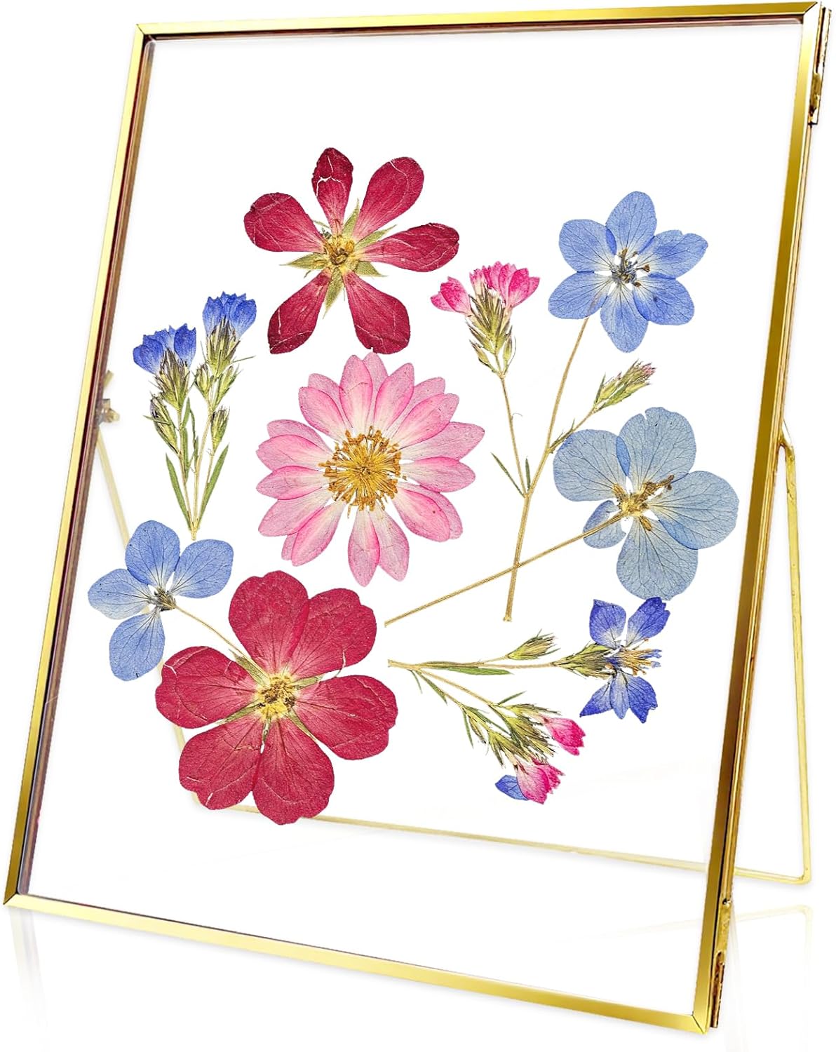 Handmade Pressed Flower Floating Frame, Brass and Glass Picture Frame for Pressed Flowers, Tabletop Photo Display for Home Decor (Gold, 8X10)