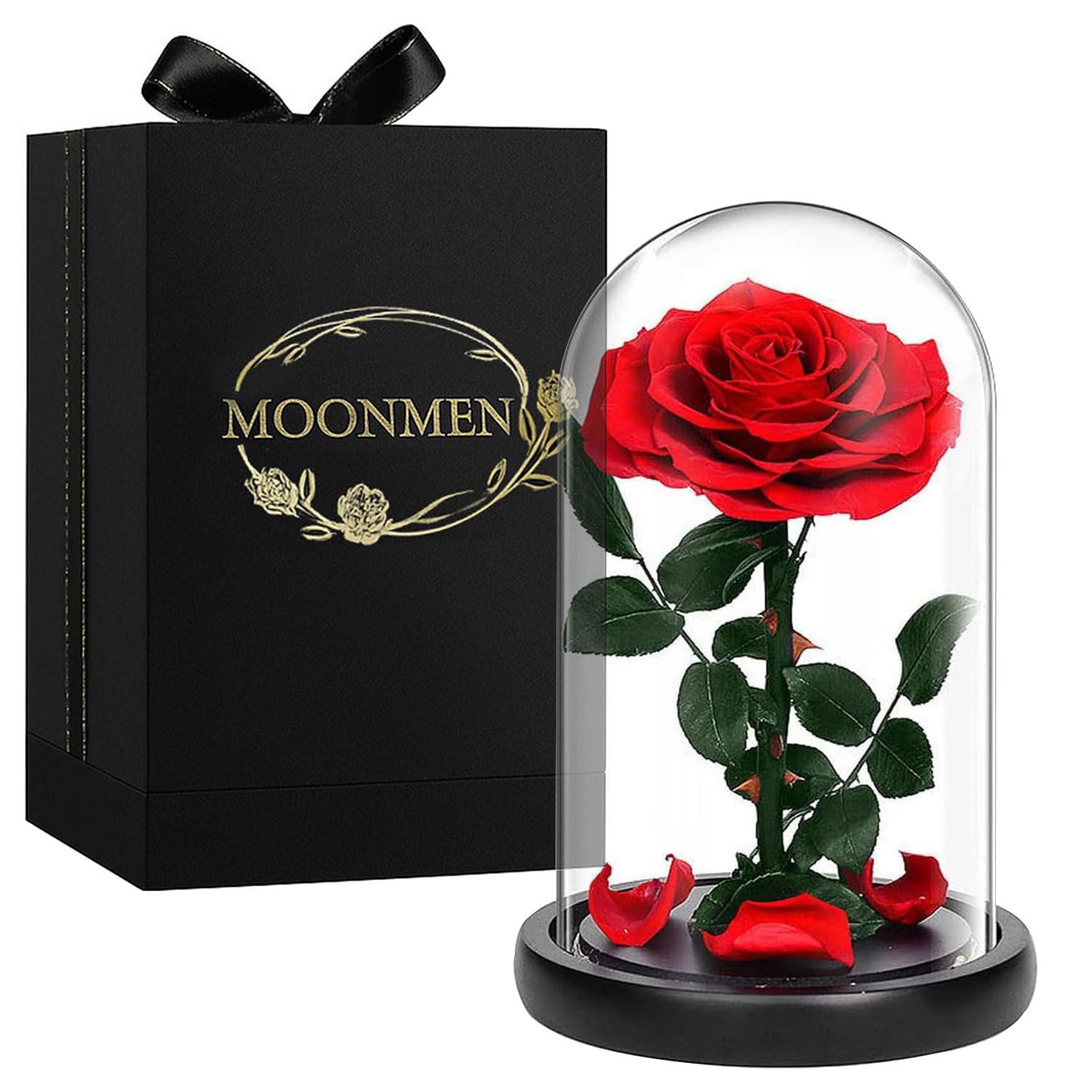 Moonmen Large-size Forever Rose 23 * 14cm, Real Eternal Rose in Glass Dome Preserved Flower with Luxury Gift Box - Gift for Valentine's Day Mother's Day Wedding Anniversary Birthday (Red)