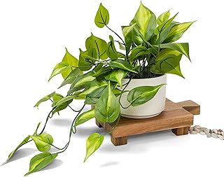Kurrajong Farmhouse Dark Green Fake pothos | Fake Plant for Shelf Decor | Artificial Trailing Ivy Plant with 5" Wide x 3.5" high Ceramic Pot Faux pothos Plant for Floating Shelves