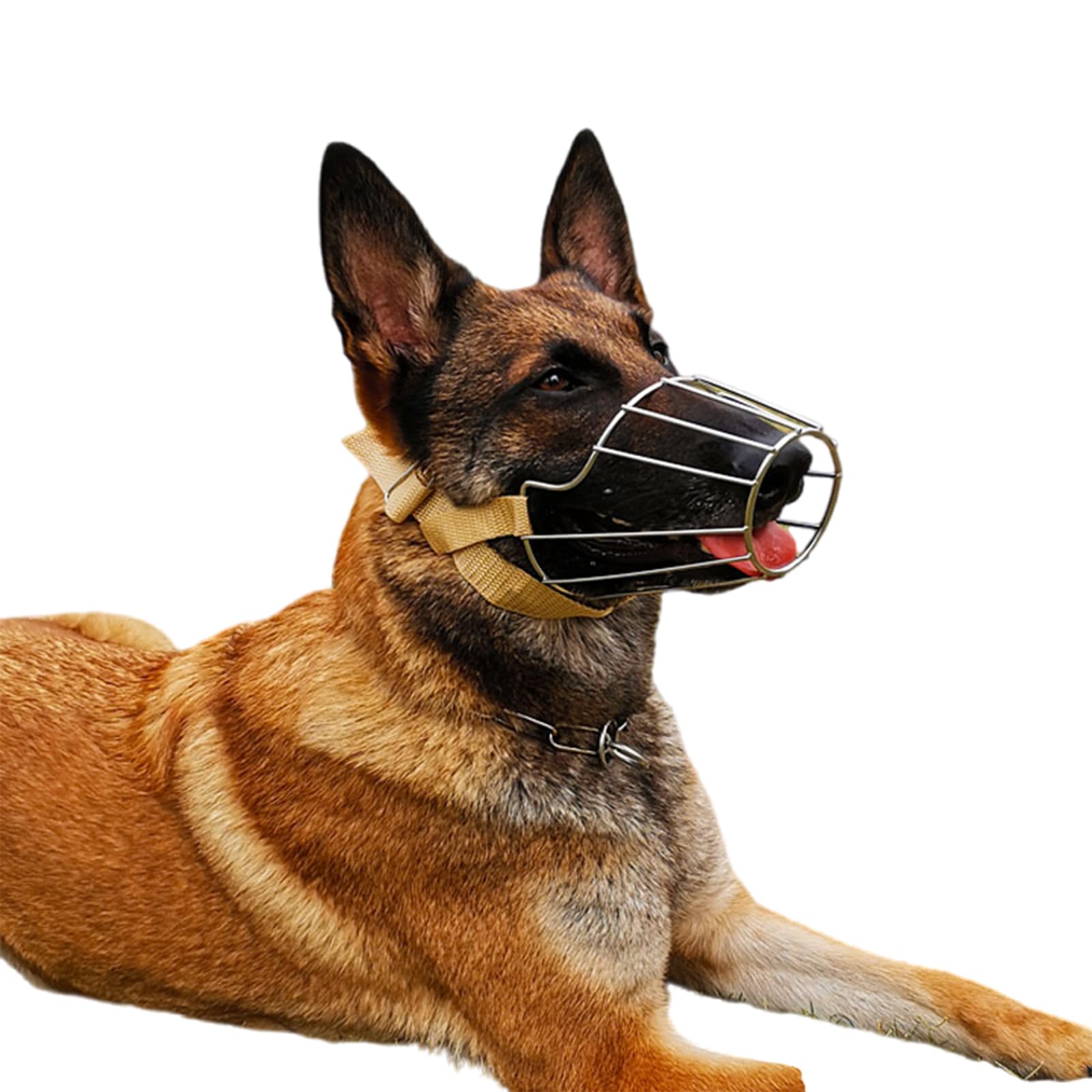 Bozal for Perros antimordiscos, bozal de Cesta Alambre, for, Transpirable, Ajustable, bozales Suave(Style 2,L)