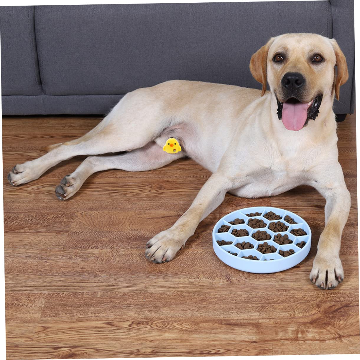 BESPORTBLE Ciotola per Cani Ventosa Antiscivolo per Alimentazione Lenta Design Unico Angoli Arrotondati in Silicone Anti-ingozzamento e Prevenzione del Vomito