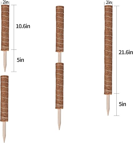 Miniatura 6 de Poste de musgo de 69 pulgadas, postes de musgo para plantas Monstera, paquete de 6 postes de fibra de coco de 15.7 pulgadas para plantas trepadoras,